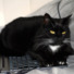 Profile picture of Runos