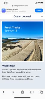 iOS Safari shown an Ocean Journal website with a banner at the top to open in the Ocean Journal app iOS Safari shown an Ocean Journal website with a banner at the top to open in the Ocean Journal app